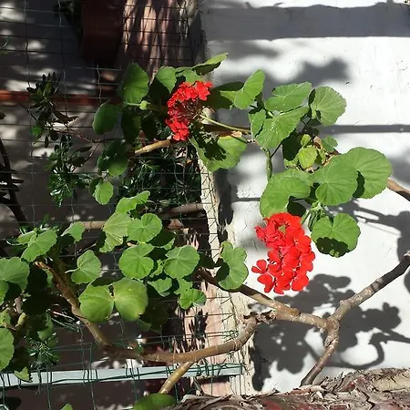 Apartmán Mari San Vito Lo Capo